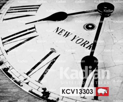 KCV13303